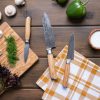 Damascus Steel Knife Set with Olive Wood Handles