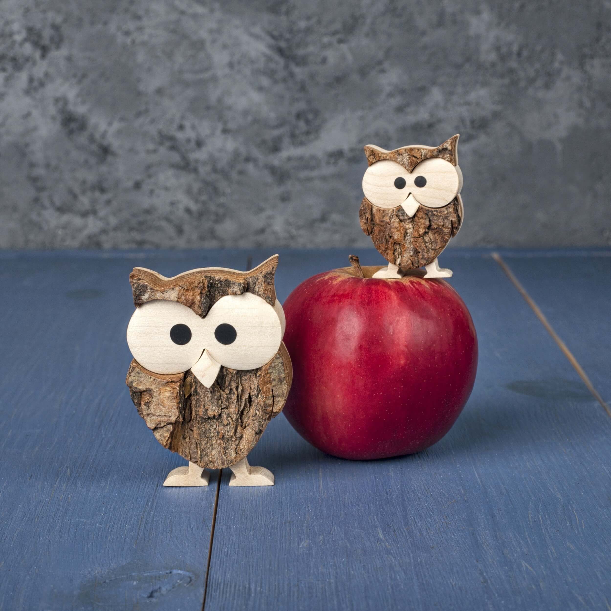 Rustic Owl Decor