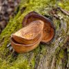 Round Wood Soap Dish Holder