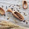 Wooden Salt Spoon – Set of 2