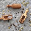 Salt Scoops wood