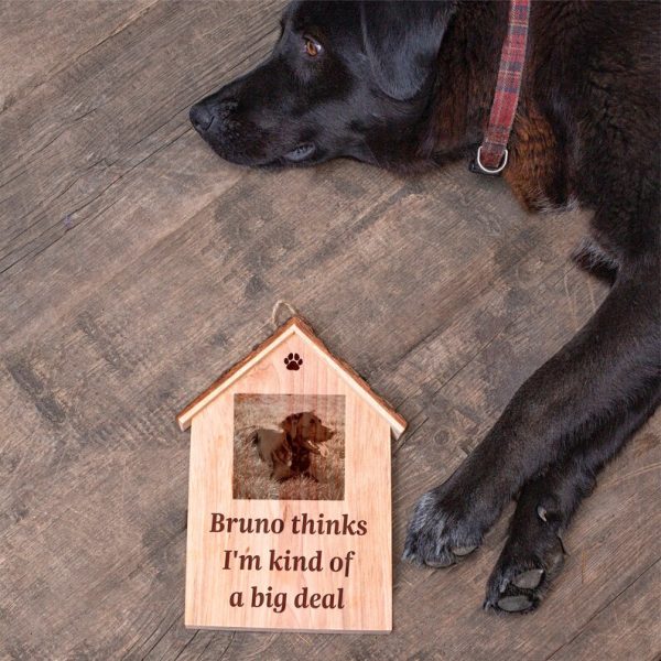 Brandon thinks i'm kind of a big deal dog house.