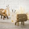 Wood Piggy Bank