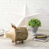Personalized Wooden Piggy Bank with Bark