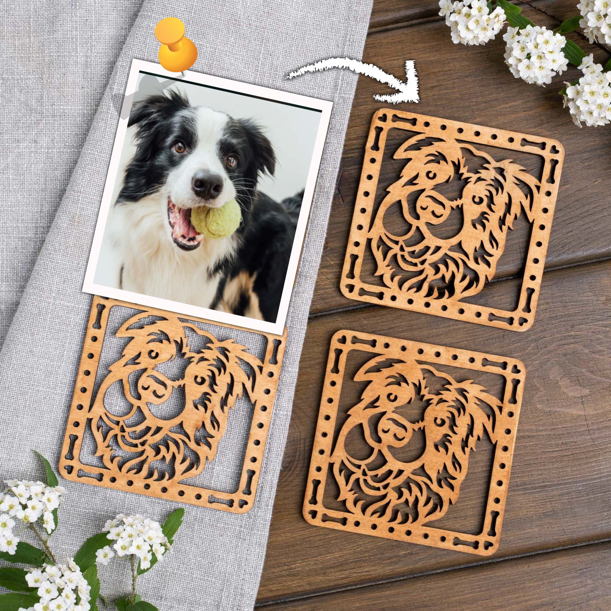 Custom Dog Coasters