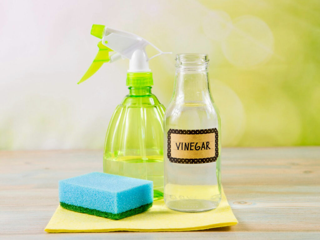 Vinegar & Dish sponge